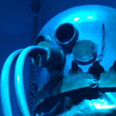 Pino_dezica's profile picture. デジカ始めました!!
その時その時ではまったデッキ色々使ってます！
岐阜愛知周辺のテイマーバトルに出現します(*´ω｀*)