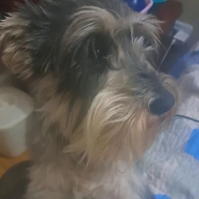 Luisk14C's profile picture. 💎