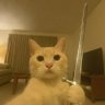 lonleyjerry's profile picture. Web developer/web3/Engineering student/Gamer/Video editor/student