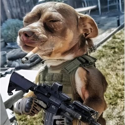 Bizze666's profile picture. 