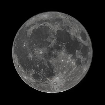 sree1m155h3r's profile picture. Aspiring full-stack web dev | JavaScript | React