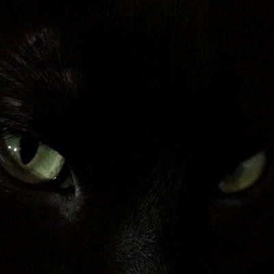 Uselessss97's profile picture. if u don’t know,don’t know