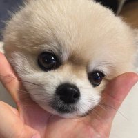구정 (@guguyear) 's Twitter Profile Photo