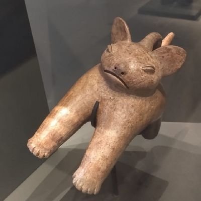 chinchillaputo's profile picture. blz