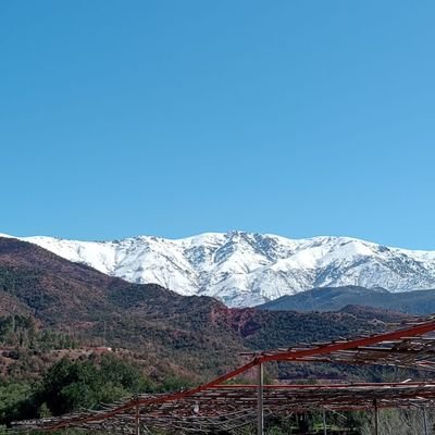 Salihi_Yas's profile picture. 