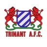 trinantfc's profile picture. The Official X account of Trinant AFC. Est. 1980 |GPL Division Two| #UPTHETROGGS