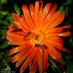 NATUREPERFEC (@natureperfec15) Twitter profile photo NATUREPERFEC (@natureperfec15) Twitter profile photo