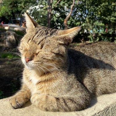 ecznur_'s profile picture. 