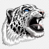 Guepardo blanco (@guepardo1912) 's Twitter Profile Photo Guepardo blanco (@guepardo1912) 's Twitter Profile Photo