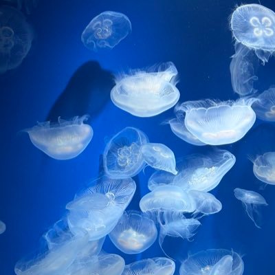 tctctu7810's profile picture. VBHに乗ってます🚙🚙🚙