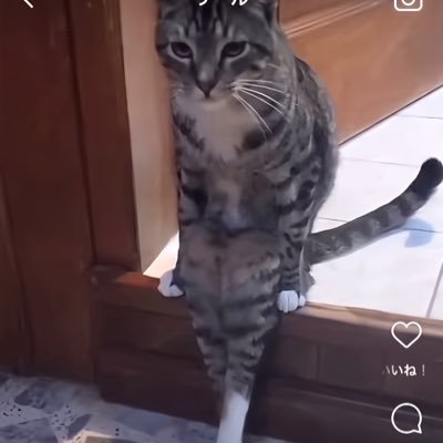 dongobab's profile picture. 写真はぜひタップしてご覧ください