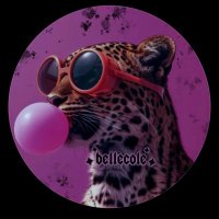 🐆▪️ CLAUDA▪️🐆 (@bellecole2457) 's Twitter Profile