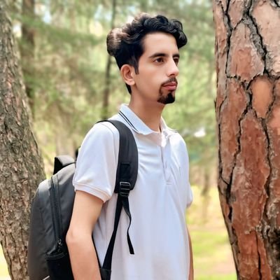 MZeeshanNaseem's profile picture. I love Kashmir