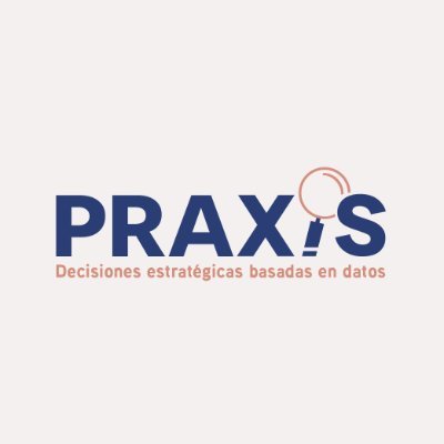 Praxis Consultora Profile