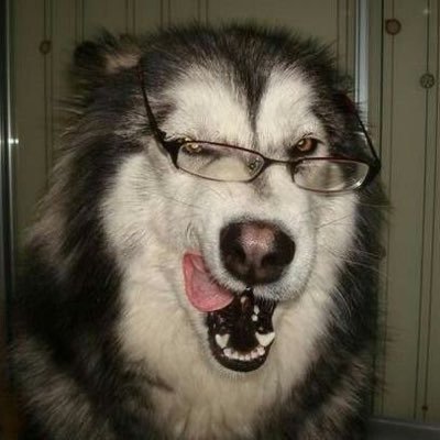 sacrificialpet's profile picture. teeth sink into flesh, biting for blood