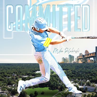 || @LIU_baseball || @fsccbaseball Alum || 📲815-671-2478 || 6’4” 215 lbs. CF/OF || Plainfield, IL 📍||