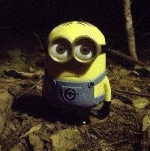 Nathanielcapr20's profile picture. Sigma🤓☝️