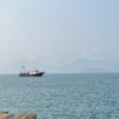 Chenyu577581's profile picture. 