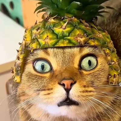 kixna68900's profile picture. てんさい