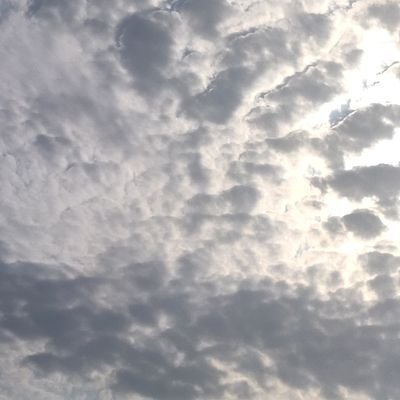 كاتبة مسرح
قدمت عدة مسرحيات منها قيد زوايا رحلة سحاب
تكرمت في أفضل نص في إثراء ٢٠٢٣
اطمح للكثير حتى اتطور ذاتيا