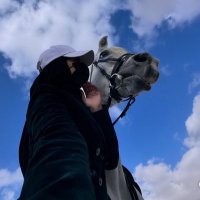 نوفمبر (@vq__66) 's Twitter Profile