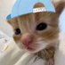 Azzzzzz (@az731922276852) Twitter profile photo Azzzzzz (@az731922276852) Twitter profile photo