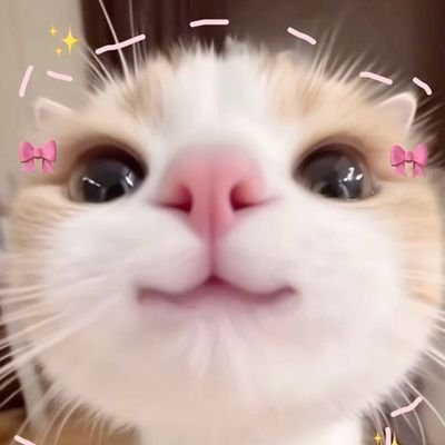 m_babayiii's profile picture. منم یه گوربام مثل بقیه گورباها...