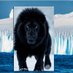 Black Arctic Lion 🇺🇸 🇸🇩 🇸🇸 ☪️ (@blackarcticlion) Twitter profile photo Black Arctic Lion 🇺🇸 🇸🇩 🇸🇸 ☪️ (@blackarcticlion) Twitter profile photo