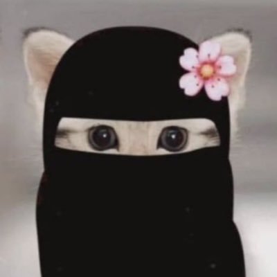 pozsed's profile picture. Jesus reassured him that he will catch  far bigger things if he follows him