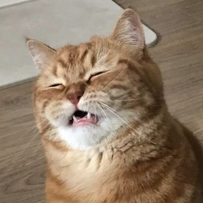 𝐉𝐉𝐉さんのプロフィール画像