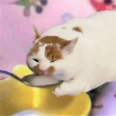 wxy211239512162's profile picture. 