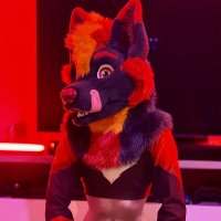 Horny Housky (@kabamehuskyad) 's Twitter Profile Photo Horny Housky (@kabamehuskyad) 's Twitter Profile Photo