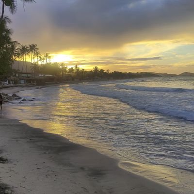 nelasco24's profile picture. 