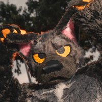 Bagel 🥯▼・ᴥ・▼🥯 (@badogbagel) 's Twitter Profile Photo Bagel 🥯▼・ᴥ・▼🥯 (@badogbagel) 's Twitter Profile Photo