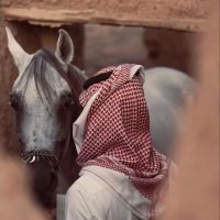 سلطان 🪐 (@sultan_sy0) 's Twitter Profile