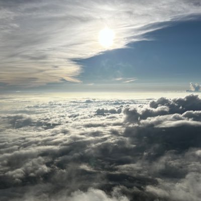 foucus356340's profile picture. 