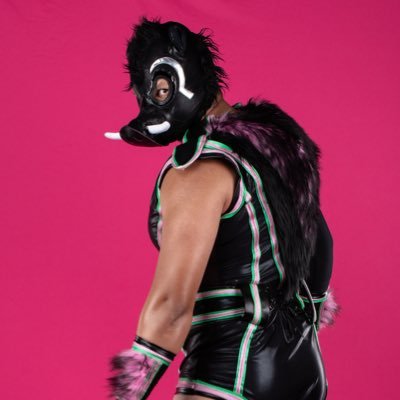 Pig Daddy Cool. Heavyweight Pro Rassler. Hoss. 1/2 of GummiBoar. TV sized like they used to make ‘em. DM or Email for bookings and merch: BookTheBoar@gmail.com