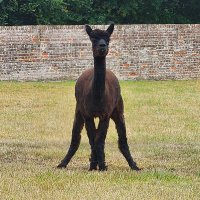 Jane Brown (@janebrown564608) 's Twitter Profile
