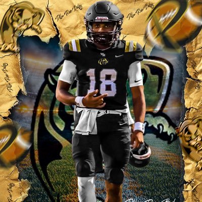 Dillon Rose-Bailey | QB Class of 2026 | 6’1” 195lbs | NCAA ID# 2301769653 | mid year qualifier https://t.co/3ApolP1z9v | @plantpanthersfb | #BTruQBTraining