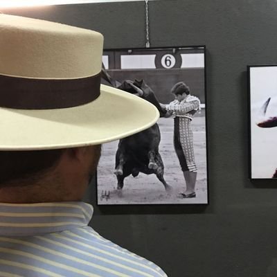 En toros,la verdadera revolución es la vuelta a los origenes:Pureza,ortodoxia y respeto a la integridad del toro. Soy Gallista. Soy especista. #JMGS