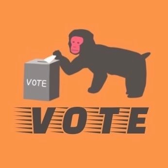 【選挙分析YouTube配信中】チャンネル登録者約2万人🟠参政党の運営党員🌸大阪の大学生です!(取材・問い合わせ・案件・コラボ・質問などDM等で受付中です😊)(拡張プロフィールあり)