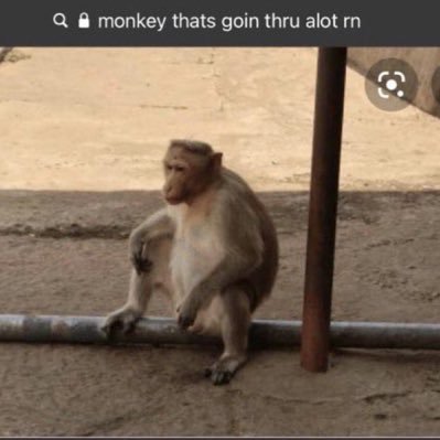 anabanana__26's profile picture. Un libro abierto escrito en lengua muerta, con gran similitud a las crónicas de una muerte anunciada