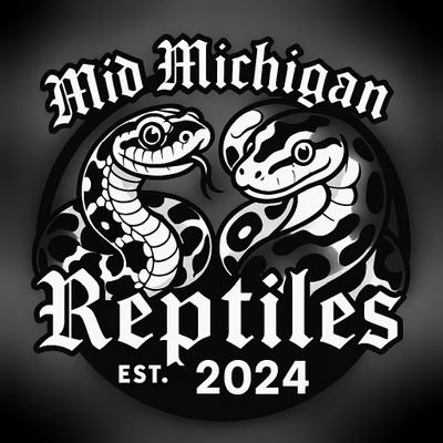MidMichReptiles's profile picture. Reptile breeder specializing in Burmese Pythons, Hognoses, with a touch of Balls.
