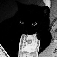 Saint Tone? (@yoo_tone) 's Twitter Profile