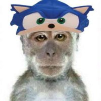 Alpha Chimp (@apecoindealer) 's Twitter Profile Photo Alpha Chimp (@apecoindealer) 's Twitter Profile Photo