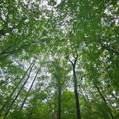Marxism-enriched Pan-European National *Socialism* | Environmentalism | NIMBY https://t.co/P0bi9H73Vi