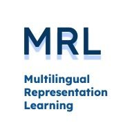 Multilingual Representation Workshop @ EMNLP 2025 Profile