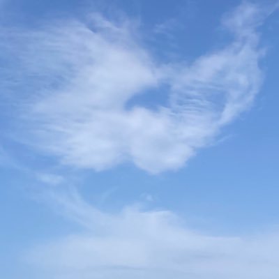 juwattobutter's profile picture. 