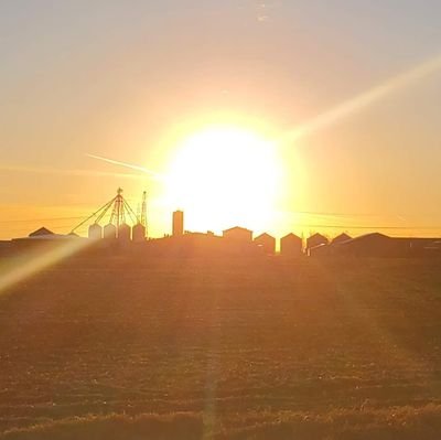 WINNIPEGED1's profile picture. Paraguay Bound 🇵🇾 IAM
Grandfather teaching lost skills. Building a 100-acre Paraguay farm to grow food, raise animals, and serve others. Proverbs 16:3