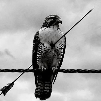 p_youngdell's profile picture. Young